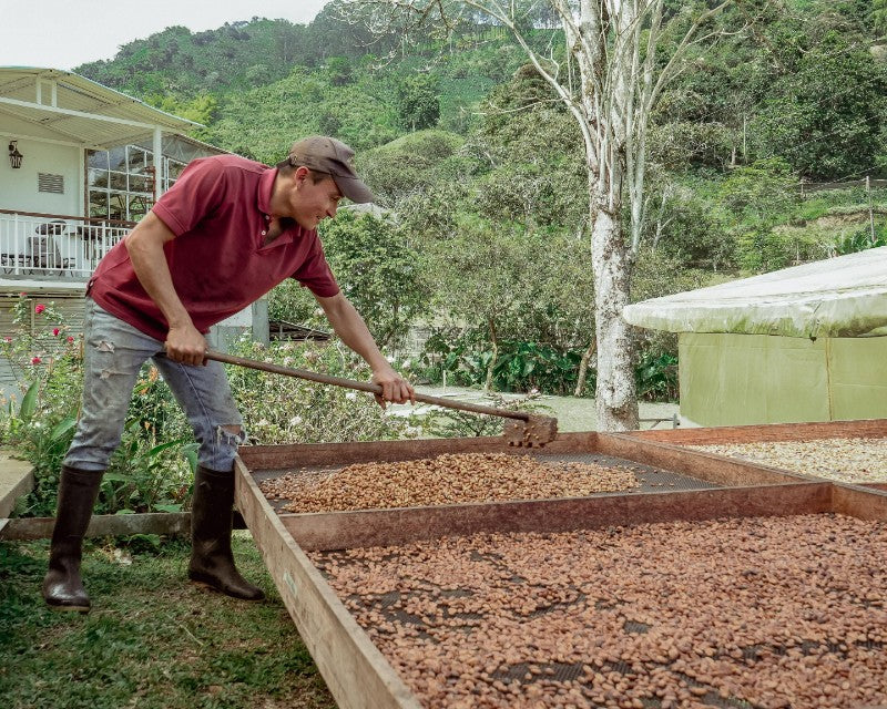 Specialty Coffee - Natural Process - Colombian Coffee