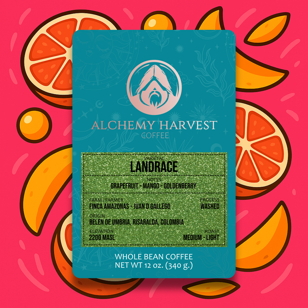 Landrace - Washed