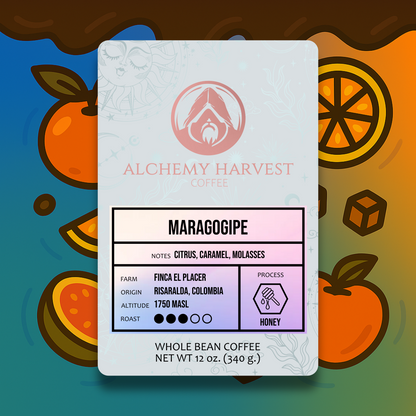 Maragogipe - Honey